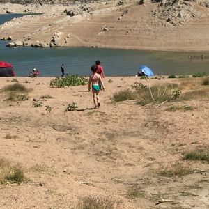 Meet your Posher, Carina